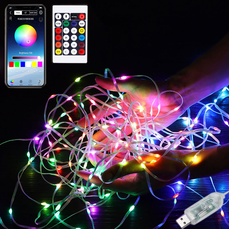 Bluetooth APP USB Color Chasing RGBIC LED Fairy Lights 10m/32.8ft RF Remote Control Outdoor String Lights